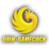 ic-logo-footer (9)